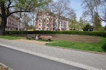Pflanzaktion Wildblumenwiese in Frankfurt