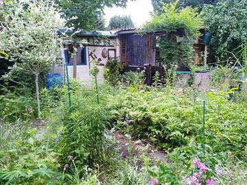 Naturgarten_3