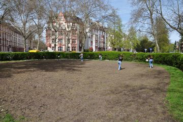 Pflanzaktion Wildblumenwiese in Frankfurt