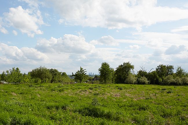 Apfelwanderung