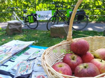 Äpfel aus Beates Naturgarten FahrRad 2021