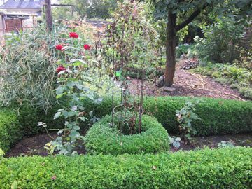 Gesamtgarten vor der Umwandlung in einen Naturgarten