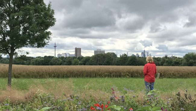 Hier soll der neue Stadtteil der Quartiere gebaut werden