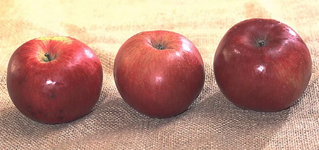 Sossenheimer Roter