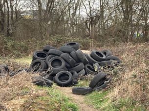 Wild abgelagerte Reifen auf einem verwilderten Grundstück