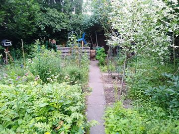 Naturgarten_4
