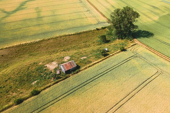 Vogelperspektive auf Landwirtschaft