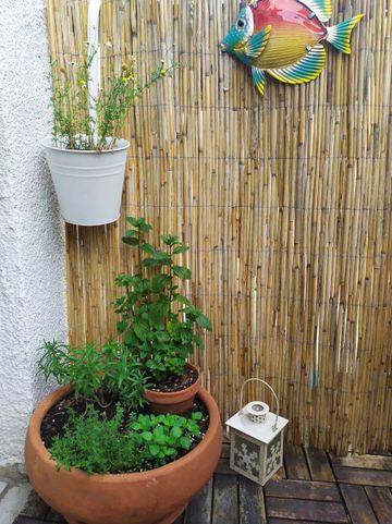 Grüner Balkon