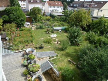 Naturgarten Seckbach - Zwischenstand