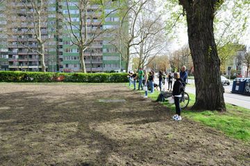 Pflanzaktion Wildblumenwiese in Frankfurt