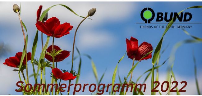 Sommerprogramm_2022