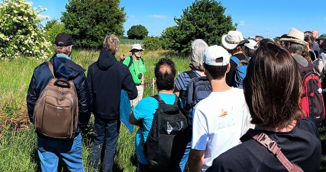 Klimawanderung mit Wolf-Rüdiger Hansen