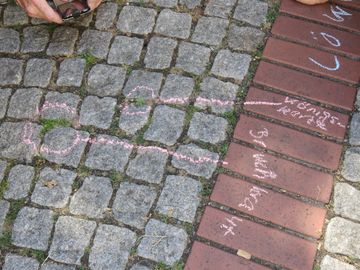 Bewachsene Pflasterritzen