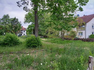 Biotop mitten in der Stadt