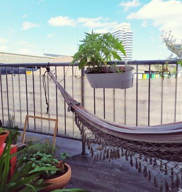 Mainzer Balkon