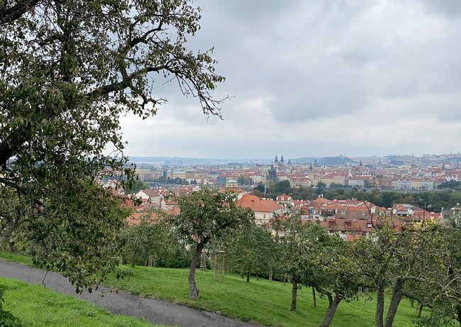Altstadt von Prag gesehen von Streuobstwiesen