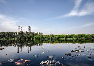 World Cleanup Day 2025