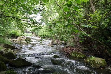 Urselbachschlucht bei Niederursel