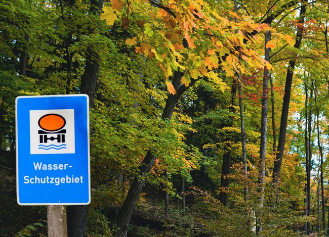 Grüngürtel Frankfurt am Main