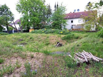 Biotop mit Blühfläche