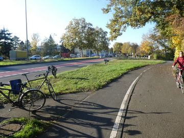 Pflanzaktion im Nied_Bild 1