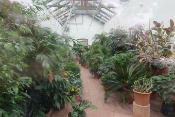 Innenansicht der Orangerie im verbliebenen Teil des Bethmann-Parks