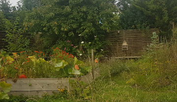 Der Garten nach der Umgestaltung