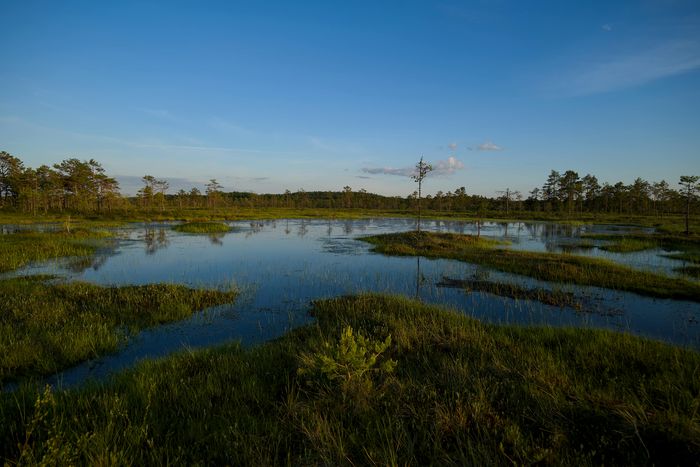 Himmel spiegelt sich in See in einer Landschaft