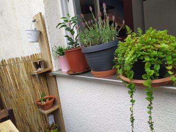 Begrünte Fensterbank auf einem Balkon
