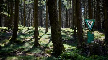 Naturschutz im Klimawandel