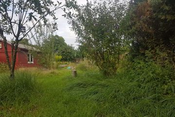 Der Garten nach der Umgestaltung