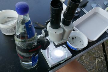 Auf einem Campingtisch liegen Plastikbehälter mit Wasser gefüllt und ein Mikroskop unter dem die Gewässerstruktur untersucht wird.