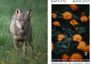 Arten des Lebendigseins