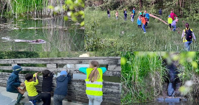 Biber gesichtet: die Kindergruppe Nord auf Exkursion