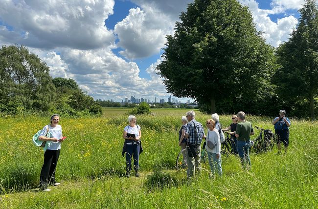 Blick von der Streuobstwiese nach Süden auf die Frankfurter Skyline