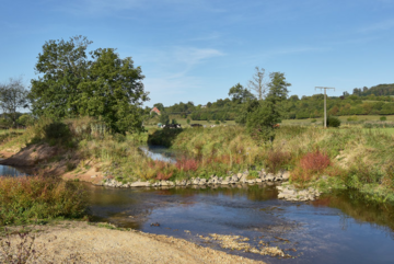 Renaturierter Nidder im FFH-Naturschutzgebiet „Salzwiesen und Weinberg“ in Ortenberg-Selters.