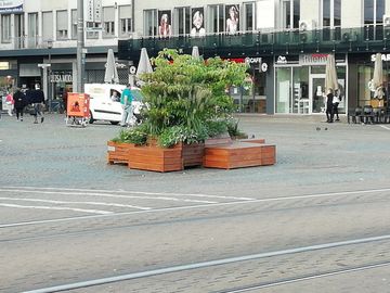 Stadtbegrünung City