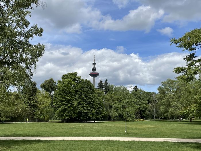 Grüneburgpark: Blick auf den  "Ginnheimer Spargel"