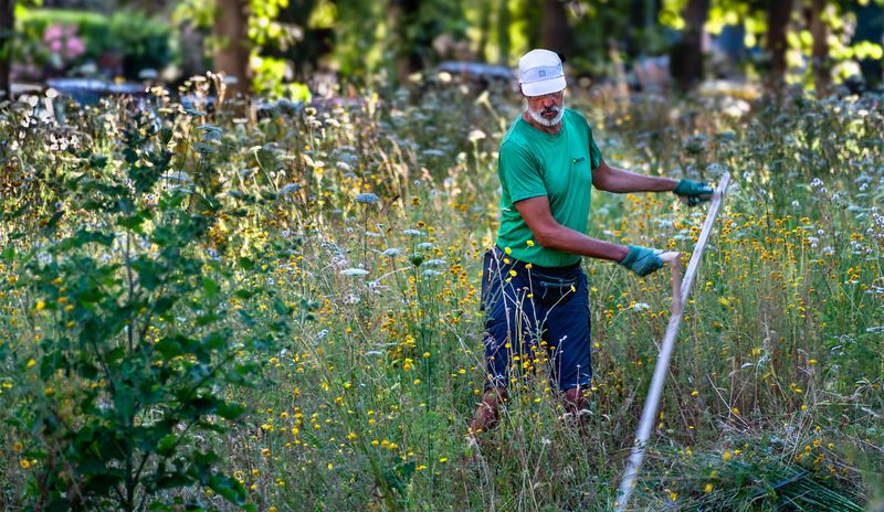 BUND Mitmachaktion beim Entbuschen