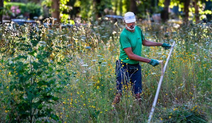 BUND Mitmachaktion beim Entbuschen