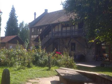 Auf dem Bild sieht man den Innenhof mit einer kleinen Grünfläche und Bänke des Dottenfelderhofs. 