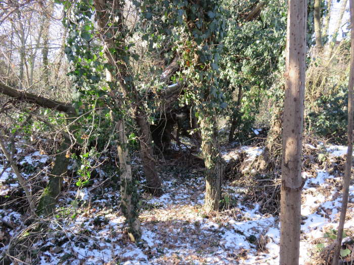 Biotop Voltenseestraße Müllsammlung