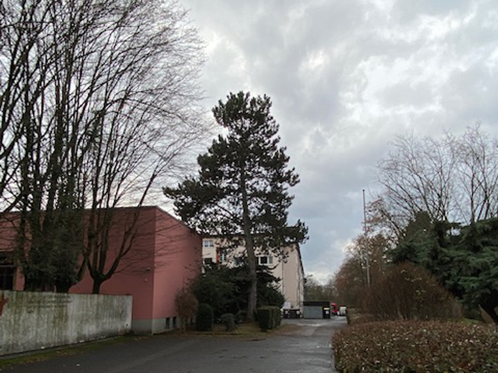 Einfahrt der Christophoruskirche mit altem Baumbestand und Hecken