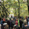 Bürger:innenrundgang im Fechenheimer Wald