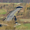 Grünbrücken und Unterführungen helfen Tieren, vielbefahrene Straßen zu überqueren.