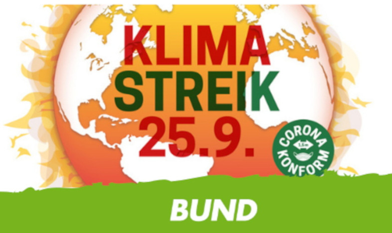 Bild zum Klimastreik am 25.09.2020 