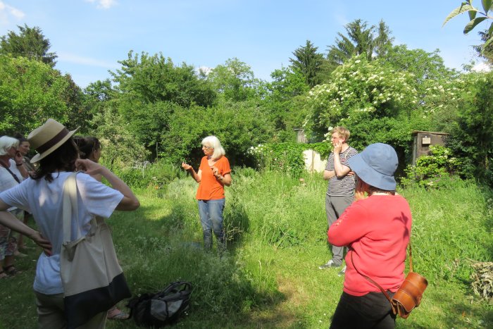 Kräuterwanderung in der Grünen Lunge