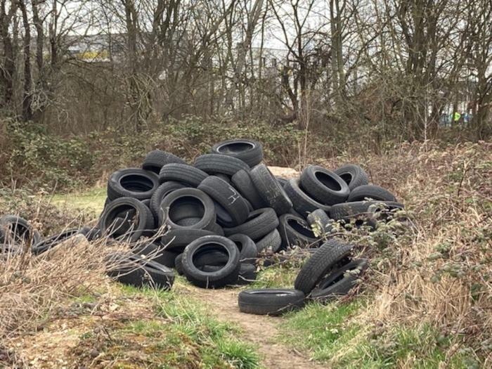 Wild abgelagerte Reifen auf einem verwilderten Grundstück