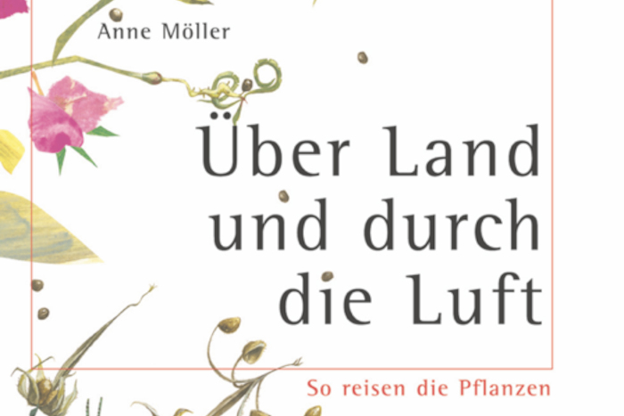 Buchcover Anne Möller: Über Land und durch die Luft