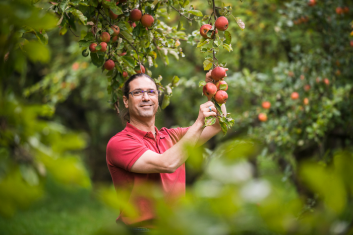 Bio- Obstbauer Andreas Schneider inmitten seiner Streuobstwiesen. Er hat ein Gespür für neue und alte Apfelsorten sowie sortenreine Apfelweine. 